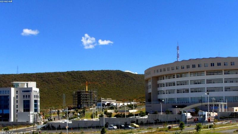 91网企业数字门户设计界面展示